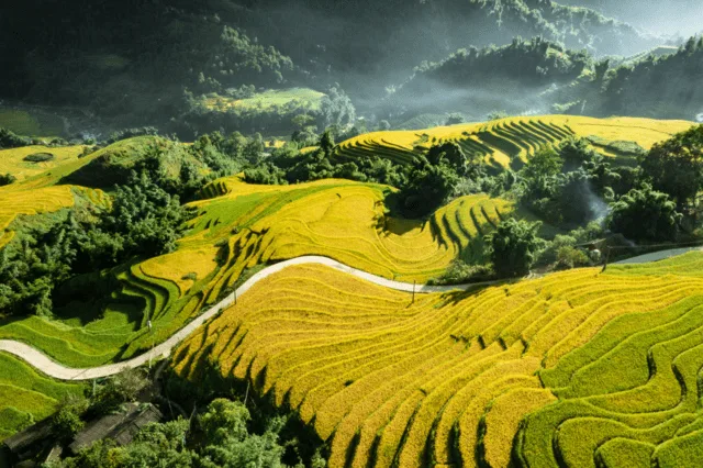 Sa Pa 2 mobile 3797 1650277614 8394 1652148658 Vietadvisor