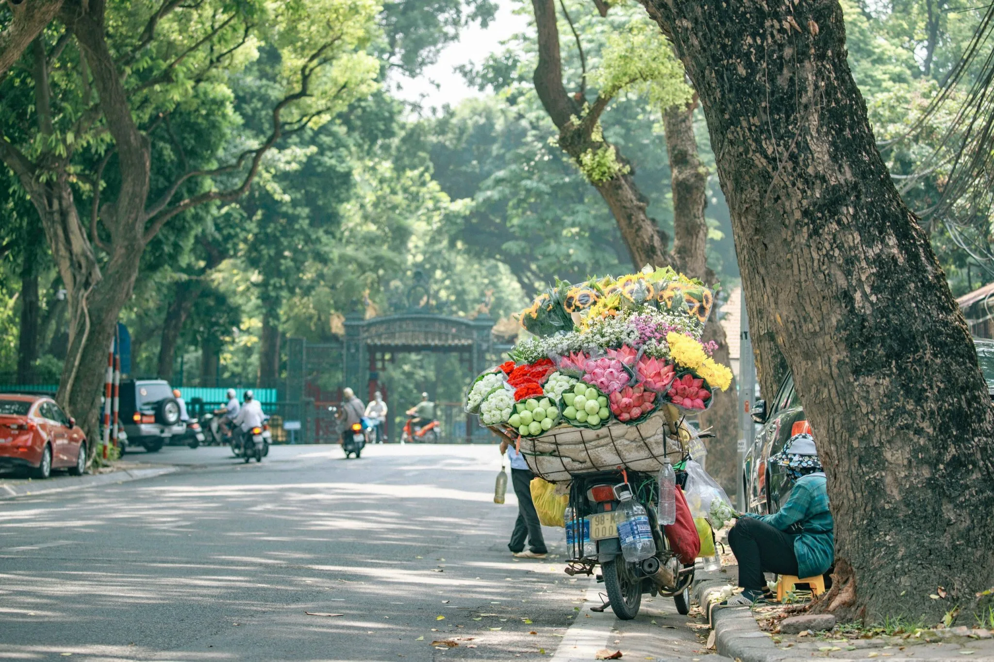Hanoi City Tours, Food Tours, Walking Tours for Group, Private 17 Hà Nội mùa nào cũng đẹp, nhưng mùa thu có lẽ nhiều cảm xúc nhất