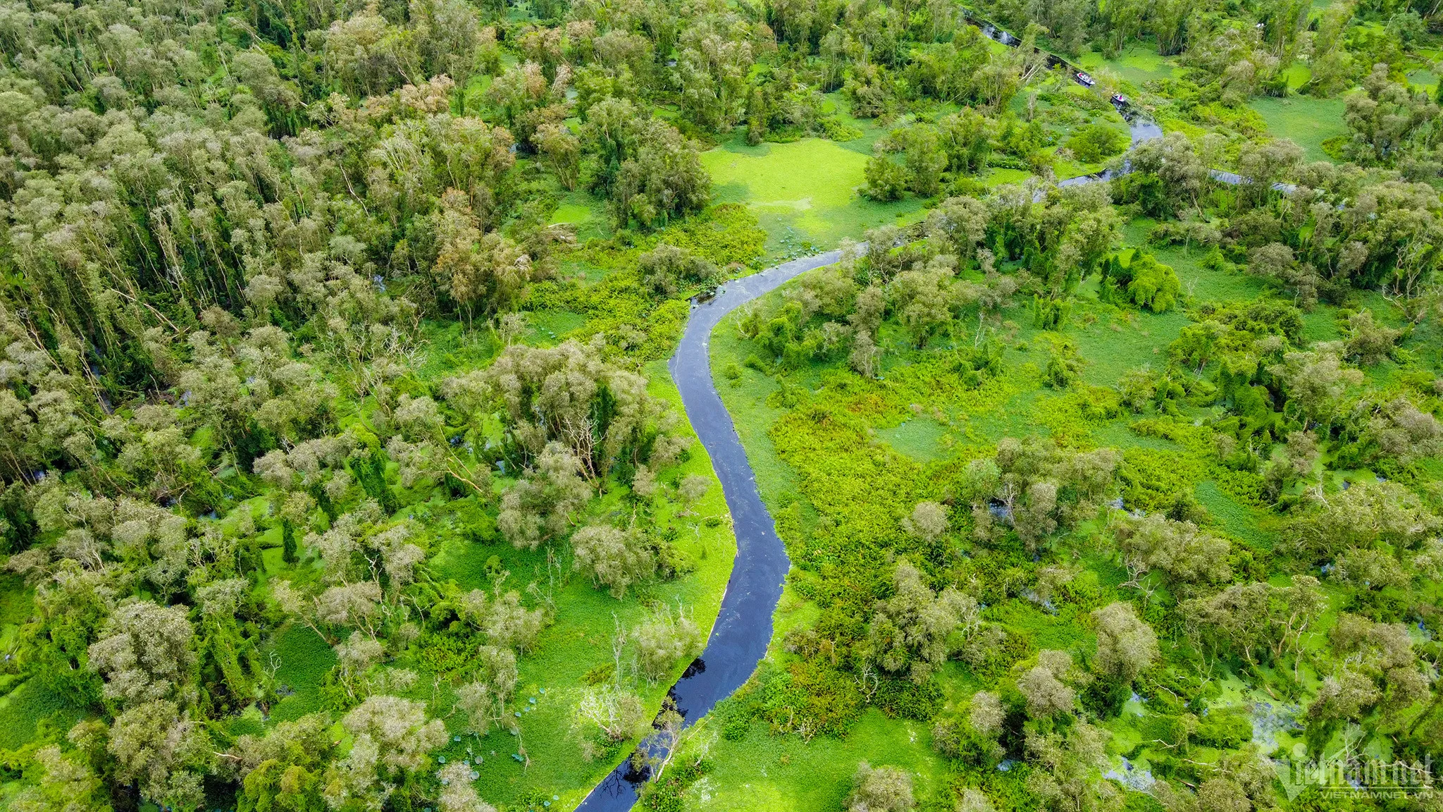 Mekong Delta Tours – The “Rice Basket” of Vietnam 13 Rừng tràm Trà Sư đẹp nhất mùa nước nổi - Mekong Delta Tours