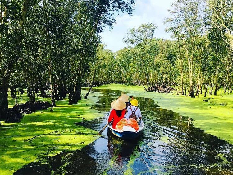 湄公河三角洲之旅 - 越南的“米篮” 30 Trở về thiên nhiên khi khám phá Rừng U Minh