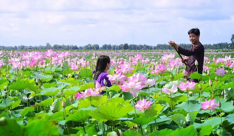 Đồng Tháp