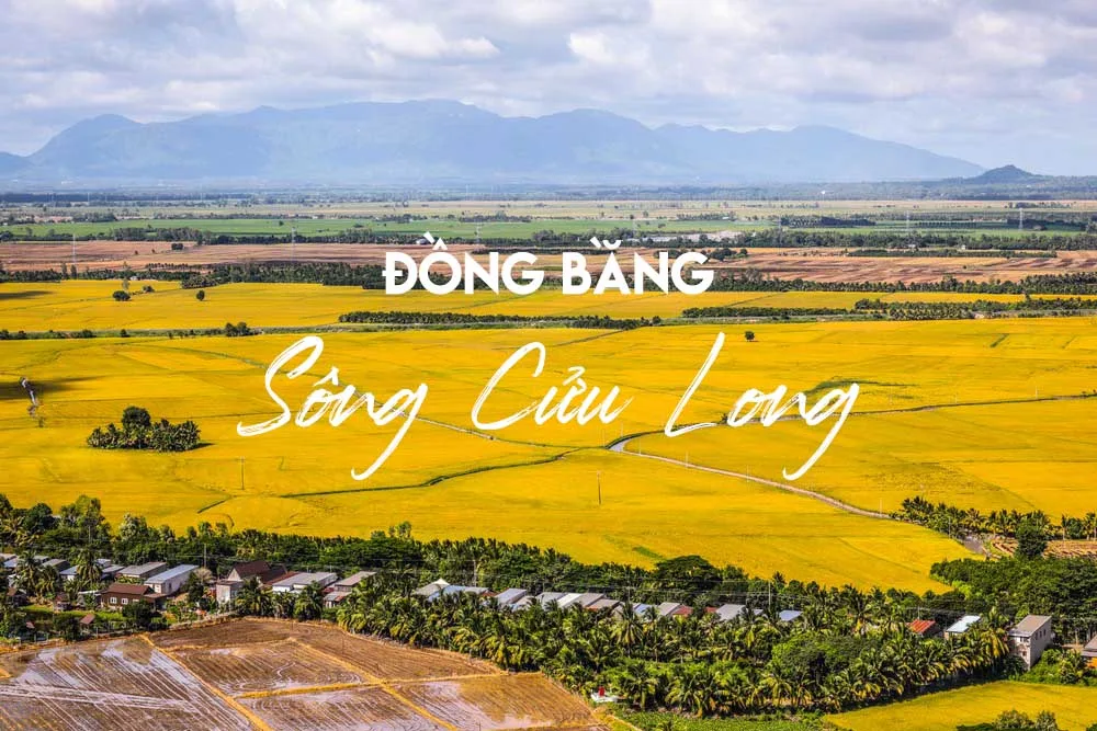 Đồng Bằng Sông Cửu Long - Vựa lúa của cả nước