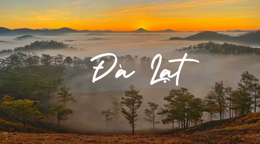 Tour Đà Lạt Trọn gói – Săn Mây, trải nghiệm & các hoạt động thú vị 1 vi tri dia ly da lat 6 Vietadvisor