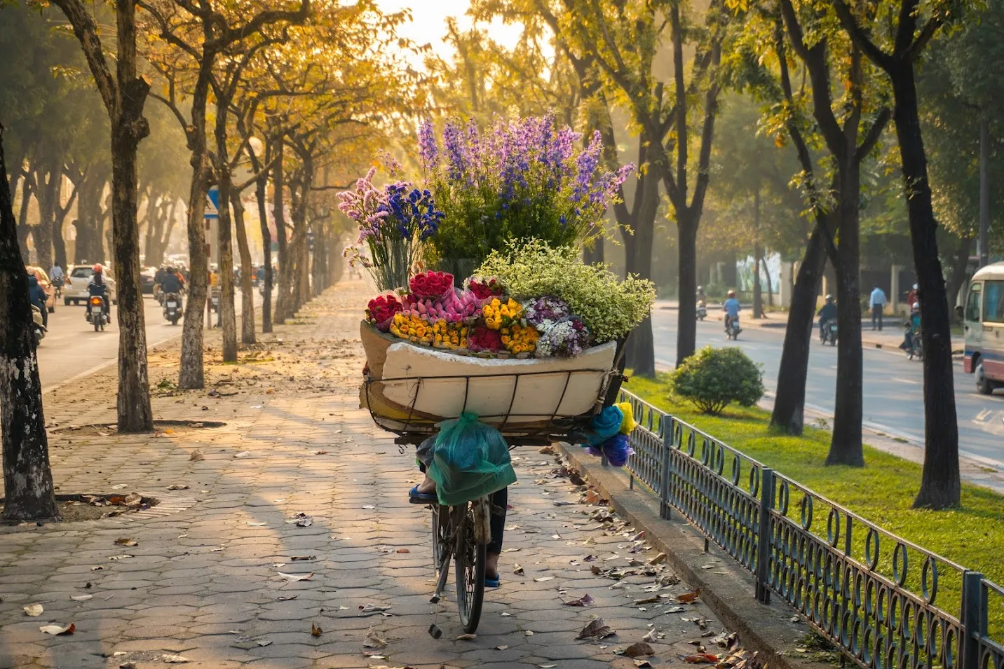 y2 1715921167535 Vietadvisor
