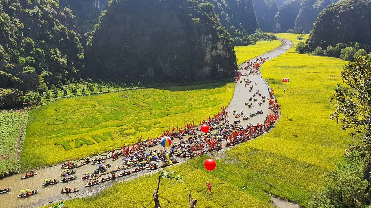 z4411266900723 a06fad63d6f236e3f0456bcd58f6ba0e Vietadvisor