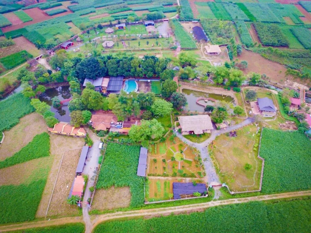 449572693 Vietadvisor