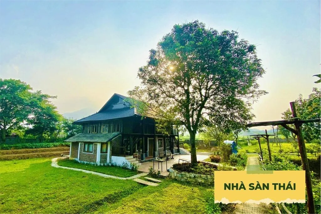 479060986 Vietadvisor