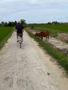 Morning Countryside Tour by Bike 6