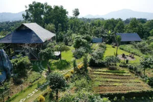 homestay ba vi Vietadvisor