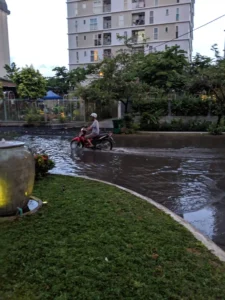 Thao Dien, District 2 – The Foreign Bubble 3