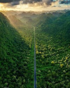 Jungle trail on Cat Ba Island, a must-visit attraction in Ha Long Bay for Cat Ba Island travel.