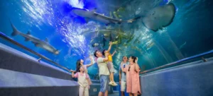 Explore marine life at Nha Trang’s Oceanography Museum
