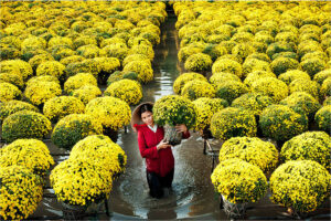 Sa Dec’s Flower Village
