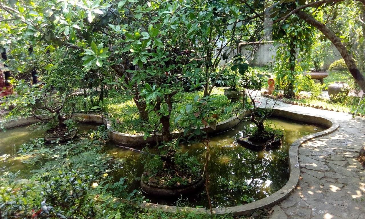 모든 예산에 맞는 여행객을 위한 최고의 후에 홈스테이 12곳 20 Tam Tinh Vien Homestay 4 Vietadvisor