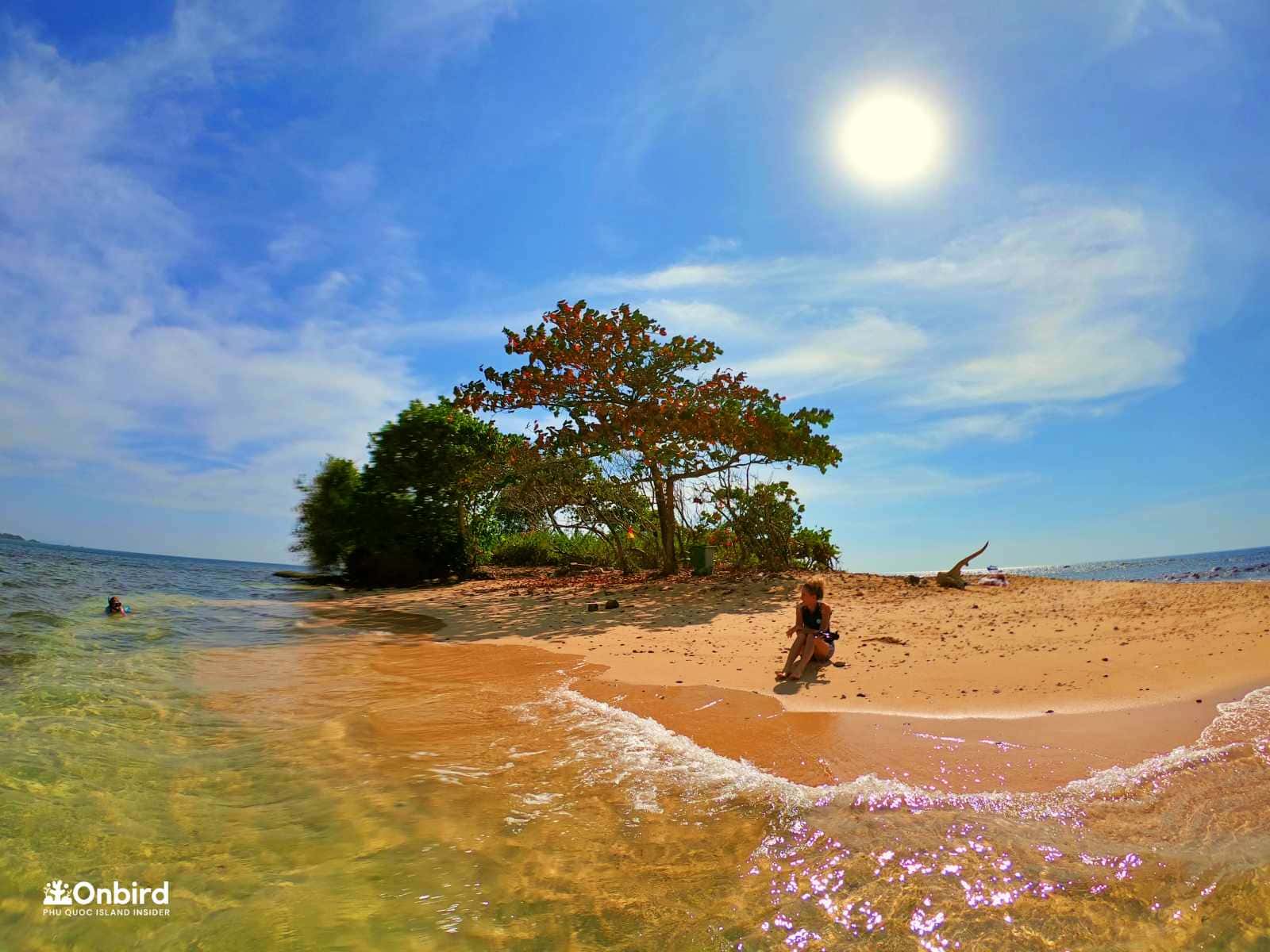 Turtle Island snorkeling spot in Phu Quoc a highlight of its marine life Vietadvisor