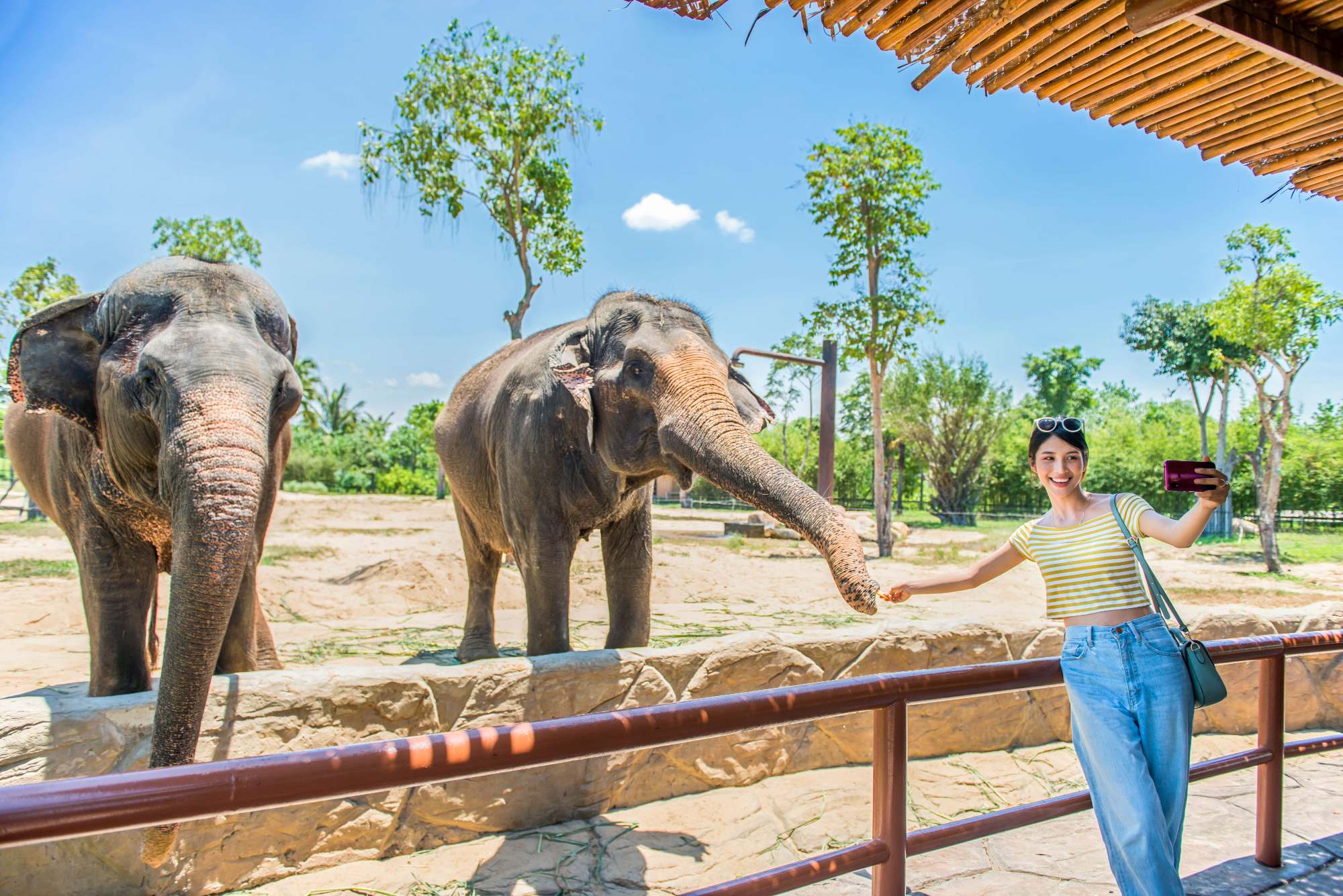 VinWonders Nam Hoi An safari Vietadvisor