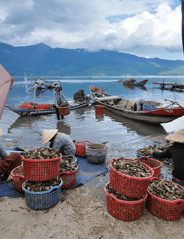 2일간의 후에 가족 여행에서 우리가 한 것 (& 건너뛴 것) 99 랍안 라군, 베트남 후에, 경치 좋은 석호, 굴 양식장, 아침 풍경 - 후에 가족 여행