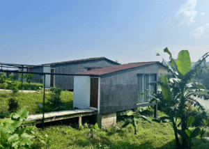 Nguyen Shack Retreat Resort 2