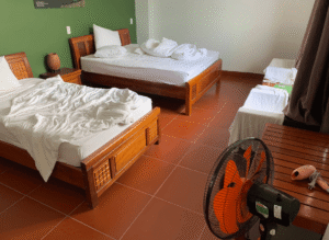 Oxalis Home