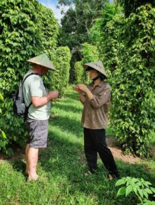Phu Quoc Pepper farm 2