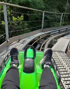 Datanla Waterfall & Alpine Coaster 4