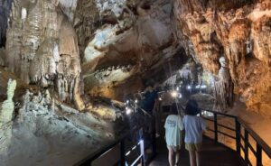 Paradise Cave 6