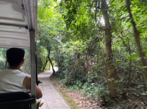 Take the electric buggy Paradise Cave
