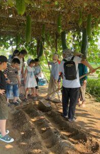Tra Que Vegetable Village 4