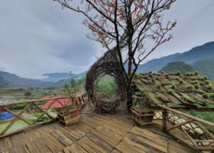 nest 2