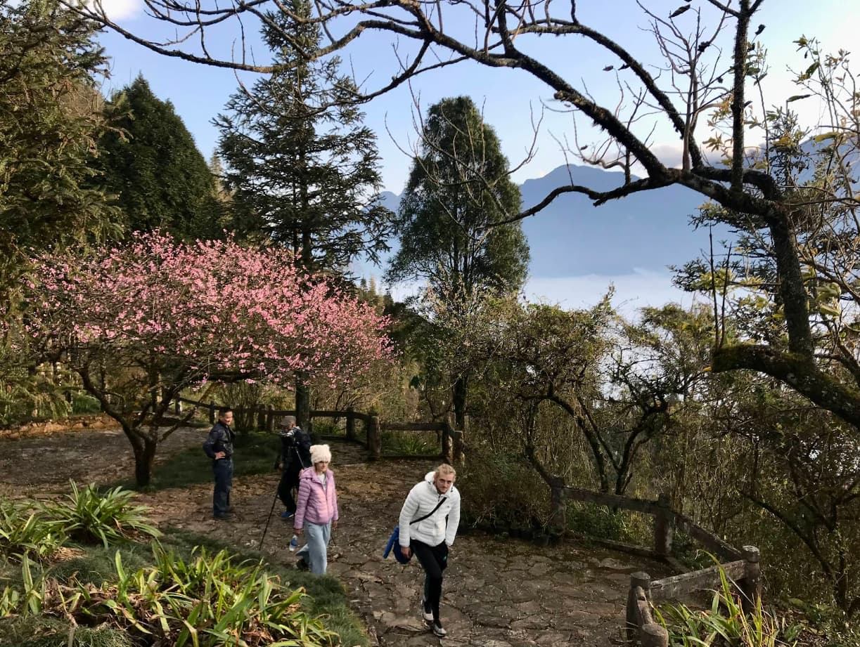 판시판 투어를 위한 사파 숙소 추천 5곳을 찾았습니다 119 판시판 테라스 카페 앤 홈스테이