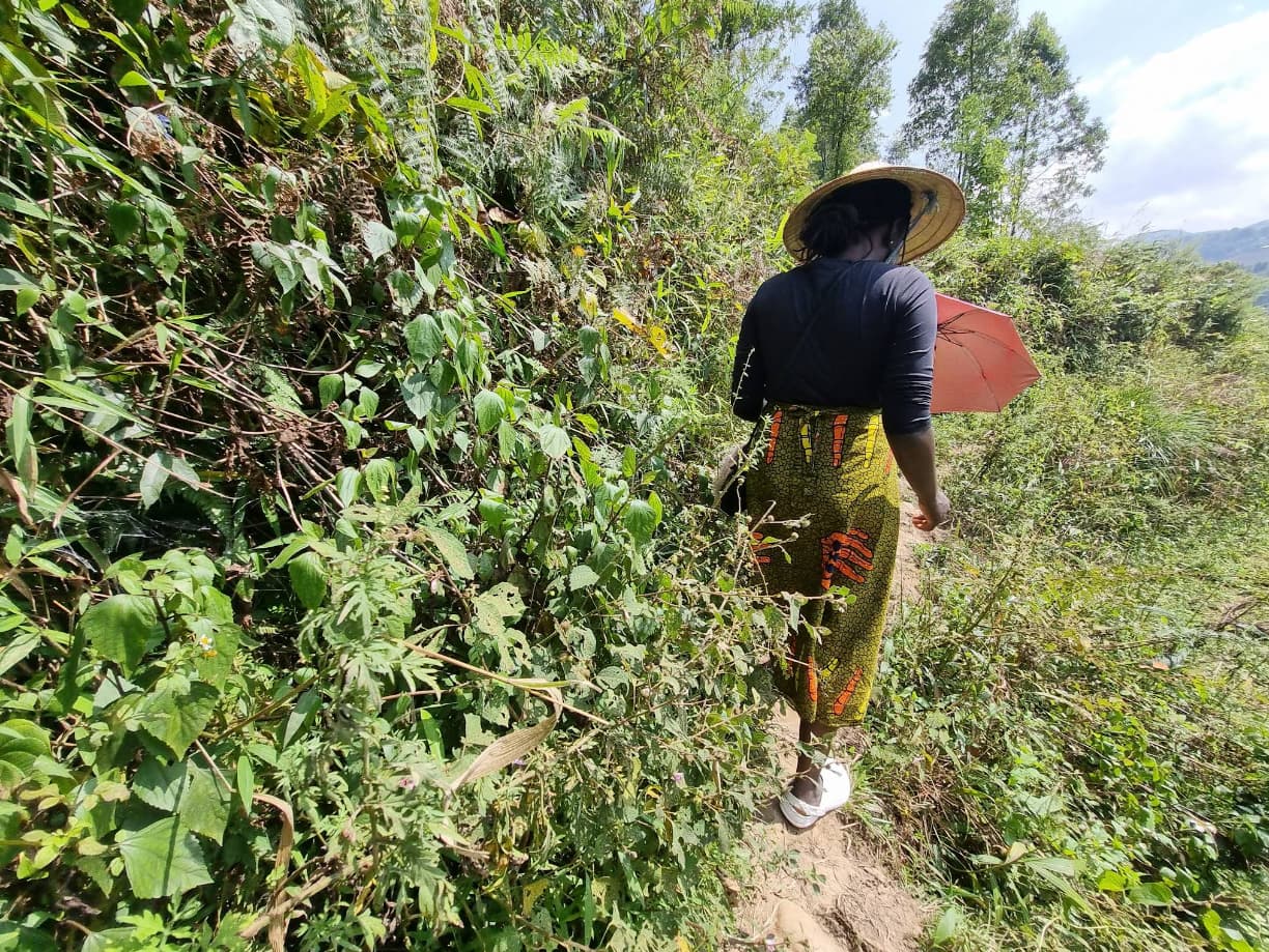 판시판 투어를 위한 사파 숙소 추천 5곳을 찾았습니다 107 사파 클레이 하우스