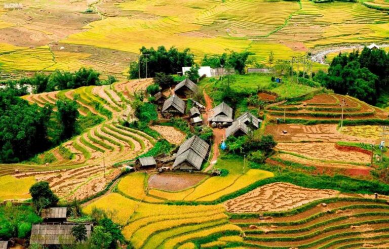 Hiking through the Mường Hoa Valley 7 Ta Van Village banner Vietadvisor