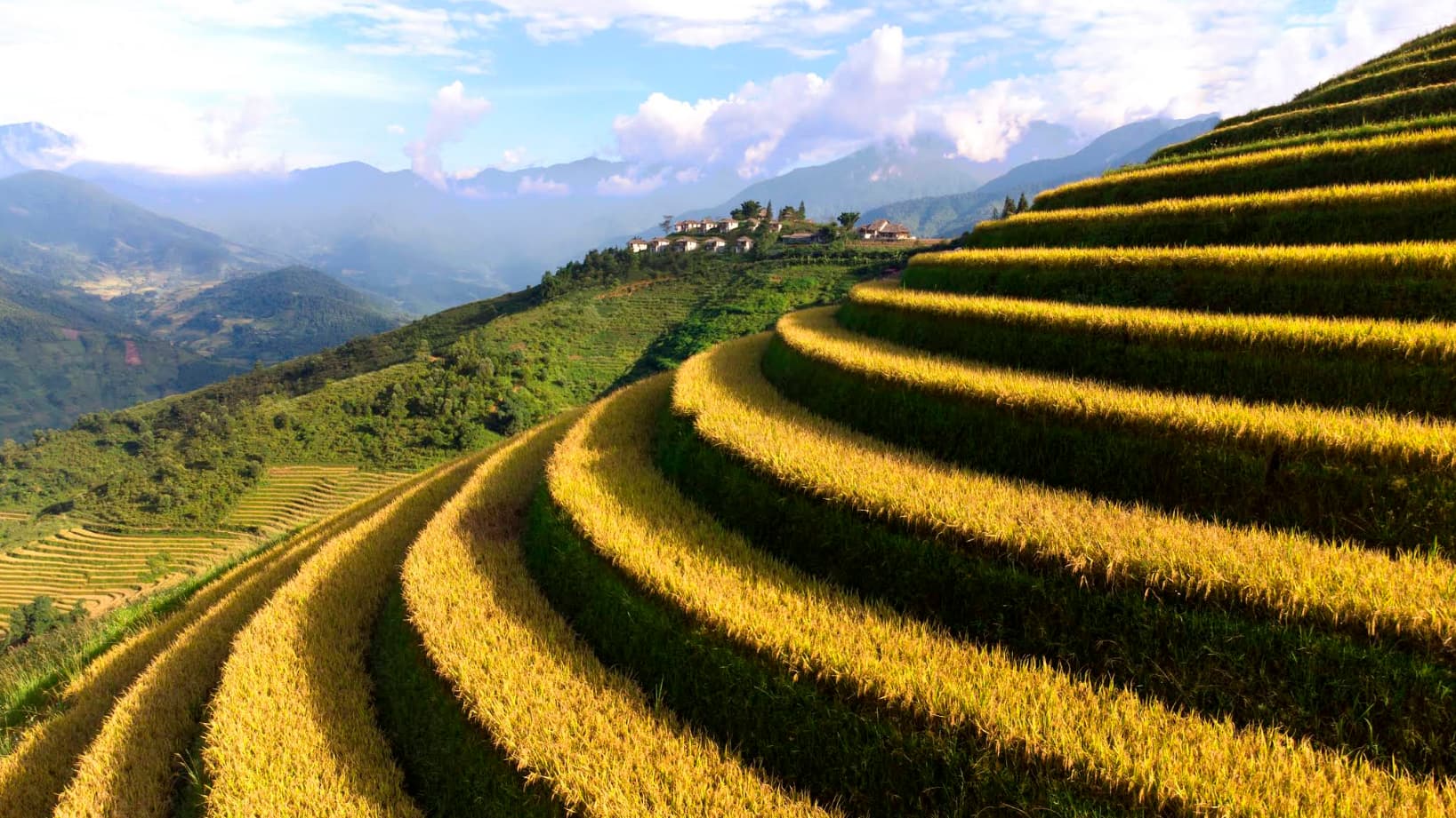 판시판 투어를 위한 사파 숙소 추천 5곳을 찾았습니다 101 토파스 에콜로지