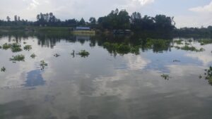 Hau River 2