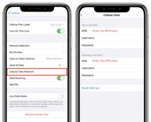 The-APN-Settings
