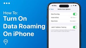 Turn-on-Data-Roaming-iphone