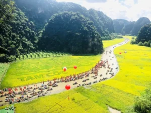 ninh binh bg