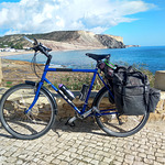 simonpedal avt Vietadvisor