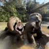cyndyrebecca avt Vietadvisor
