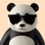 delightfulpanda578 avt Vietadvisor