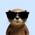 efficientotter9724 avt Vietadvisor