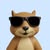 elegantsquirrel3239 avt Vietadvisor