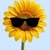 happyendlesswanderer avt 1 Vietadvisor