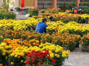 img_49143_1