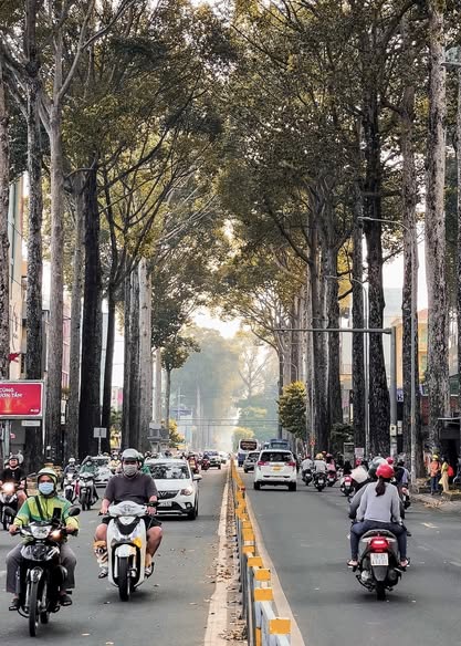 img 49671 0 Vietadvisor