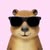 livelycapybara2860 avt Vietadvisor