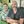 lynseylou avt Vietadvisor
