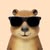mysticalcapybara5951 avt Vietadvisor