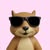 thoughtfuhispaniclsquirrel avt Vietadvisor
