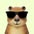 yellowcapybara6862 avt Vietadvisor
